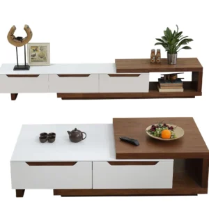 TV Unit NGT0100